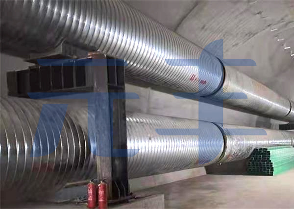 DM_20250915110116_003